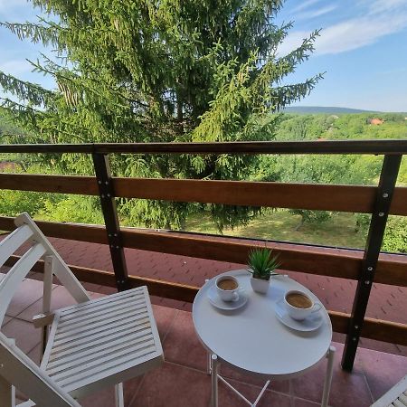 Hoopovo House Fruska Gora Villa Irig Exterior foto