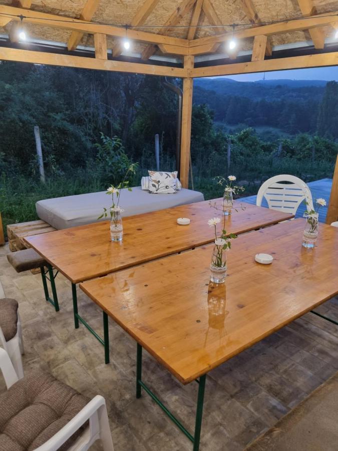 Hoopovo House Fruska Gora Villa Irig Exterior foto