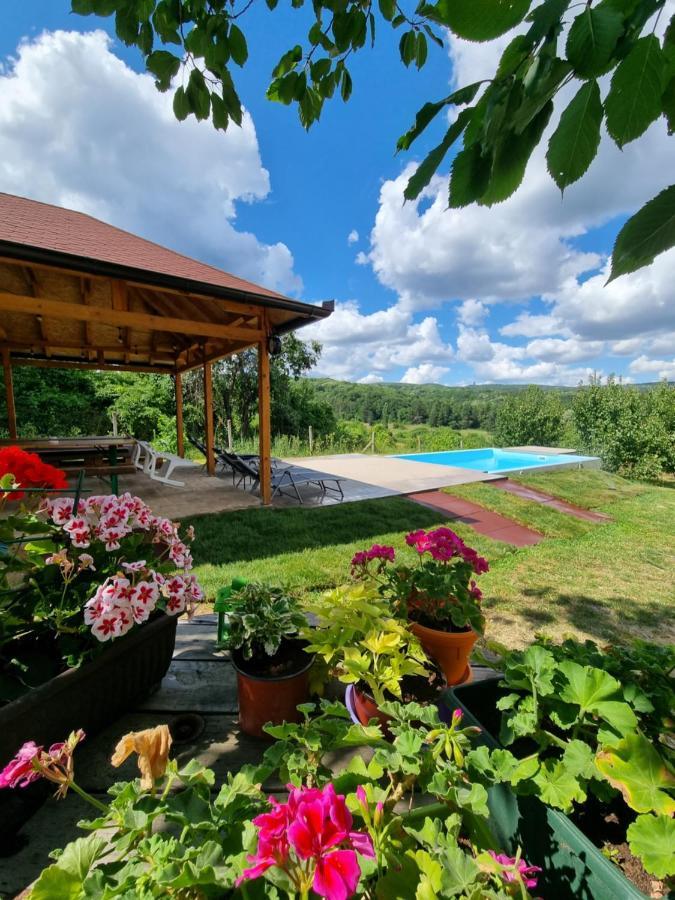 Hoopovo House Fruska Gora Villa Irig Exterior foto